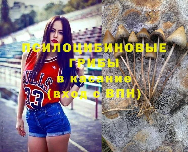 марихуана Белокуриха
