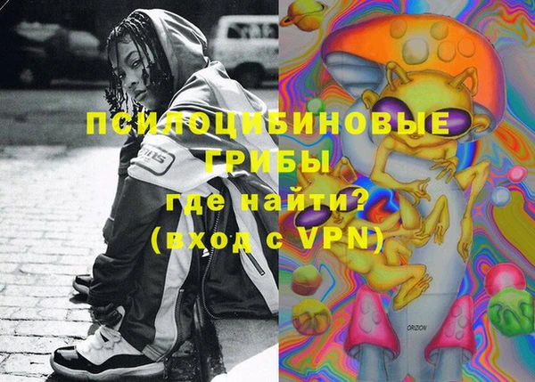 PSILOCYBIN Беломорск