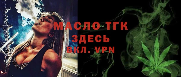 гидра Снежногорск