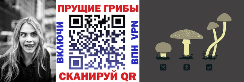 Псилоцибиновые грибы прущие грибы  где продают наркотики  Пионерский 